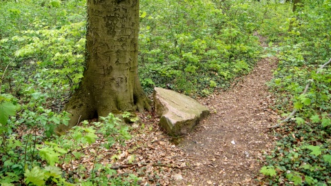 Park Gordona w Laskowicach. Fot. Henryk Żyłkowski