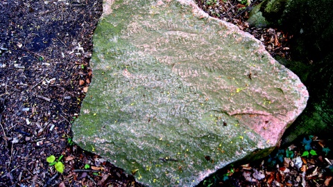 Park Gordona w Laskowicach. Fot. Henryk Żyłkowski