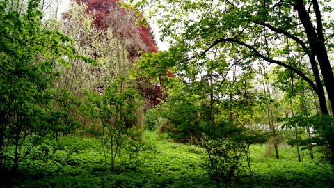 Park Gordona w Laskowicach. Fot. Henryk Żyłkowski