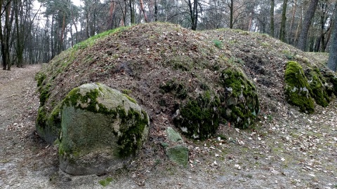 Archeologicznym szlakiem do Wietrzychowic. Fot. Adriana Andrzejewska-Kuras