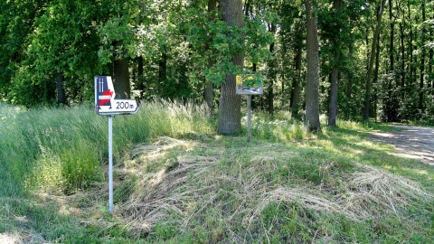 Fot. Henryk Żyłkowski