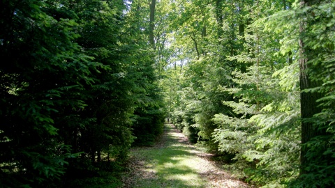 Fot. Henryk Żyłkowski