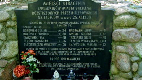 Fot. Henryk Żyłkowski