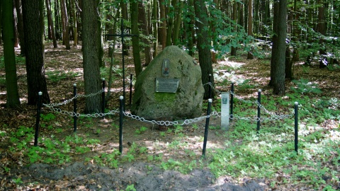 Fot. Henryk Żyłkowski