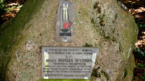 Fot. Henryk Żyłkowski