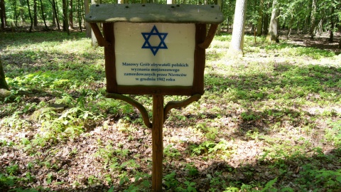 Fot. Henryk Żyłkowski