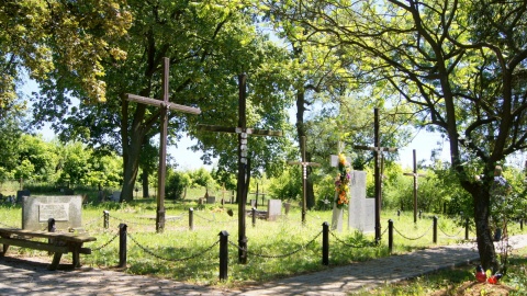 Fot. Henryk Żyłkowski