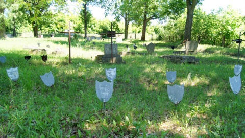 Fot. Henryk Żyłkowski