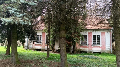 Pałac w Nawrze ma szanse na odrodzenie. Fot. Żaneta Walentyn