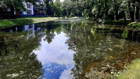 „Nad Kanałem”. Fot. Żaneta Walentyn