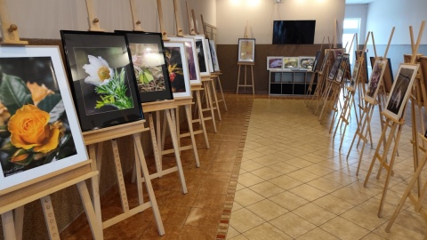 Życie leśne na wystawie fotografii pana Marka Gromka. Fot. Żaneta Walentyn/PR PiK