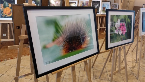 Życie leśne na wystawie fotografii pana Marka Gromka. Fot. Żaneta Walentyn/PR PiK