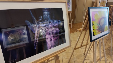 Życie leśne na wystawie fotografii pana Marka Gromka. Fot. Żaneta Walentyn/PR PiK
