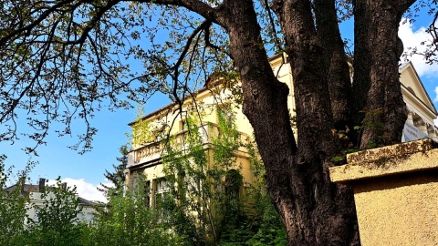 Zabytkowa willa na bydgoskiej Sielance niszczeje od wielu lat. Fot. Żaneta Walentyn/PR PiK