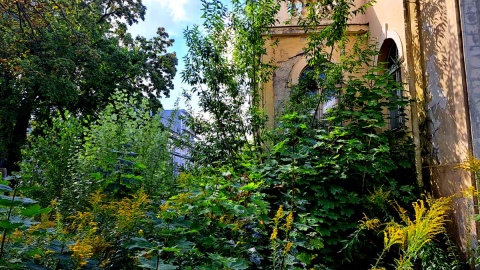 Zabytkowa willa na bydgoskiej Sielance niszczeje od wielu lat. Fot. Żaneta Walentyn/PR PiK