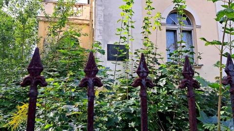 Zabytkowa willa na bydgoskiej Sielance niszczeje od wielu lat. Fot. Żaneta Walentyn/PR PiK