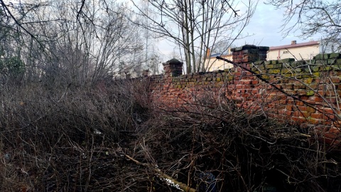 Ruiny zamku Sędziwoja Pałuki w Szubinie. Fot. Żaneta Walentym/PR PiK