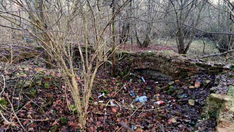 Ruiny zamku Sędziwoja Pałuki w Szubinie. Fot. Żaneta Walentyn/PR PiK