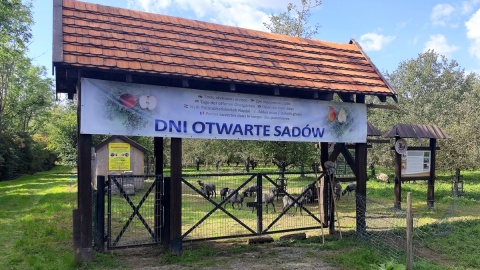 Dni Otwarte Sadów w Chrystkowie. Fot. Żaneta Walentyn/PR PiK