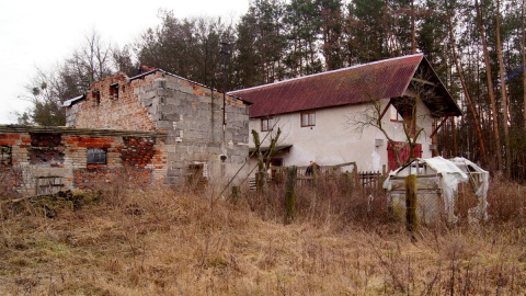90-letnia pani Jadzia, obecnie mieszkanka DPS, została pozbawiona swojego miejsca na Ziemi i chociaż wygrała w sądzie, nie ma gdzie wracać. Fot. Henryk Żyłkowski