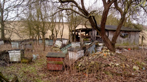 "Jaki ja miałam ogródek, jaki miód..., ludzie z zagranicy do mnie po ten miód przyjeżdżali" - chwali się prawie 90-letnia pani Jadzia. Fot. Henryk Żyłkowski