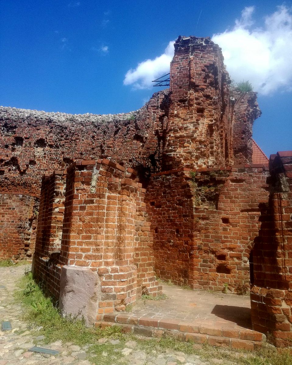Ruiny zamku krzyżackiego w Toruniu. Fot. Michał Słobodzian