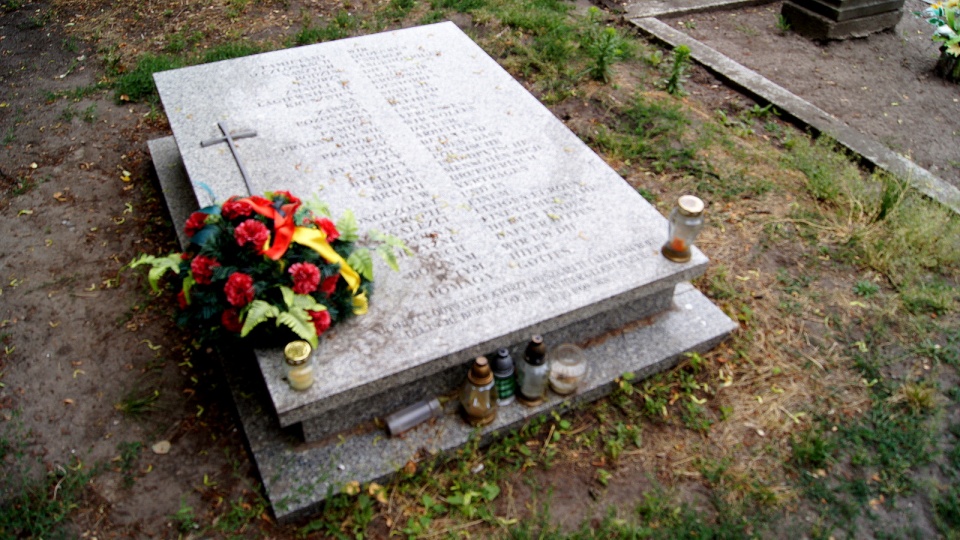 Fot. Henryk Żyłkowski