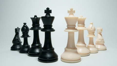 W złotej drużynie Europy szachiści z regionu