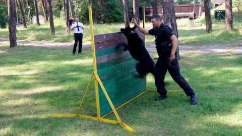 Wystartują w Kynologicznych Mistrzostwach Policji