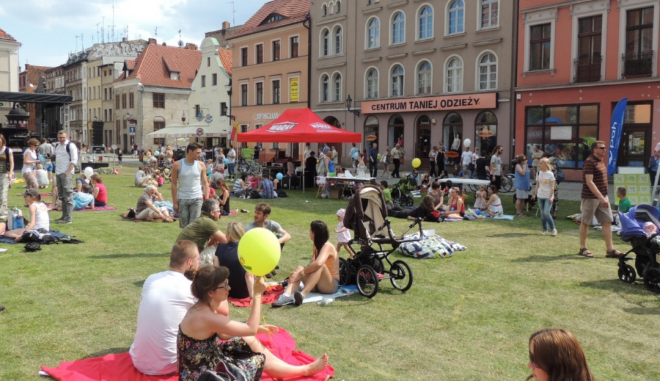 Kamienny bruk na Rynku Nowomiejskim w Toruniu pokryła świeża trawa. Fot. Michał Zaręba