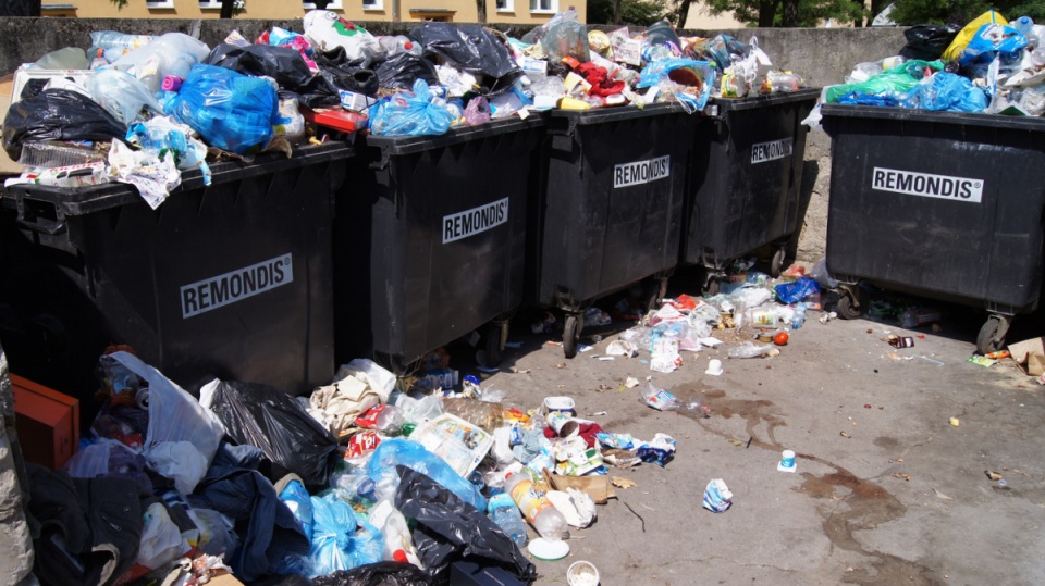 Od 01 lipca weszła w życie nowa ustawa o nowym systemie gospodarki odpadami. Wciąż tworzą się problemy i rodzą się pytania. Fot. Henryk Żyłkowski