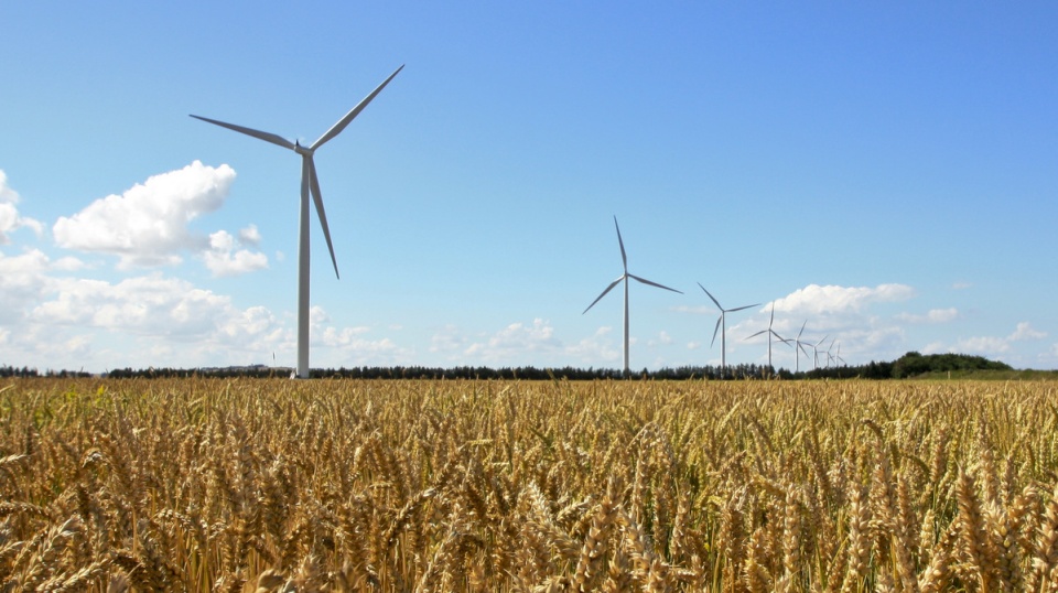 Zdaniem mieszkańców Gąsawy kolejne elektrownie wiatrowe wpłyną negatywnie nie tylko na przyrodę, ale też na zdrowie. Fot. sxc.hu