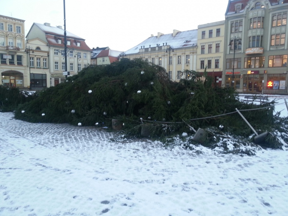 Silny podmuch wiatru przewrócił w piątek świąteczną choinkę ustawioną na Starym Rynku w Bydgoszczy. Fot. Tomasz Osiński