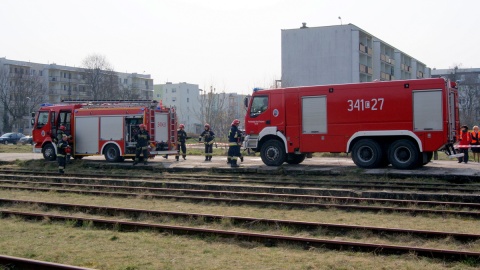 Fot. Adriana Andrzejewska