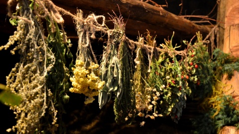 Fot. Ireneusz Sanger