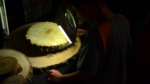 Fot. Ireneusz Sanger