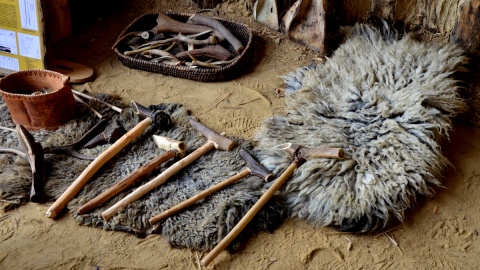 Fot. Ireneusz Sanger