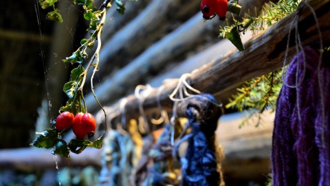 Fot. Ireneusz Sanger