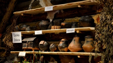 Fot. Ireneusz Sanger