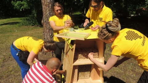 W Toruniu stanęły 4 hotele dla pszczół