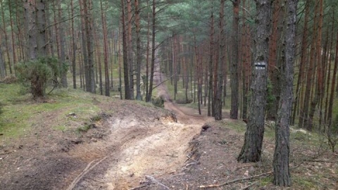 Lasy Państwowe przywracają dla turystów byłe poligony wojskowe, także w Nadleśnictwie Żołędowo