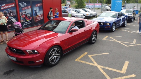 Mustang Race - toruński zlot miłośników Forda Mustanga