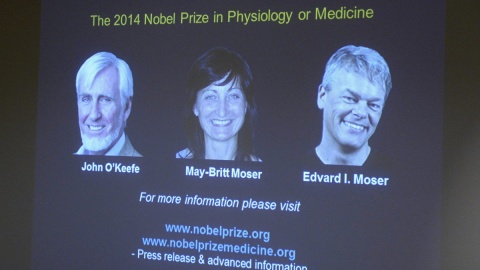 Medyczny Nobel za wewnętrzny GPS w mózgu