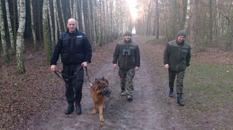 Akcja Choinka w lesie i nie tylko