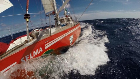 Jacht Selma Expeditions w regatach Sydney - Hobart