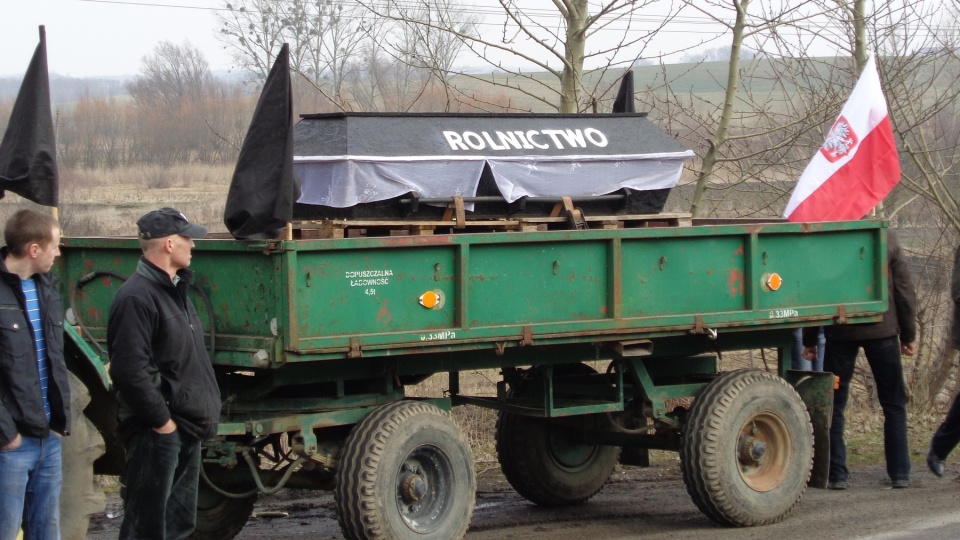 Rolnicy domagają się wyższych cen za skup żywca wieprzowego. Fot. Marcin Doliński.