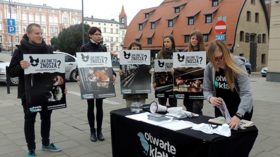 Przedstawiciele Stowarzyszenia "Otwarte Klatki" zwracali uwagę mieszkańców Bydgoszczy na skandaliczne warunki klatkowego chowu kur. Fot Tatiana Adonis