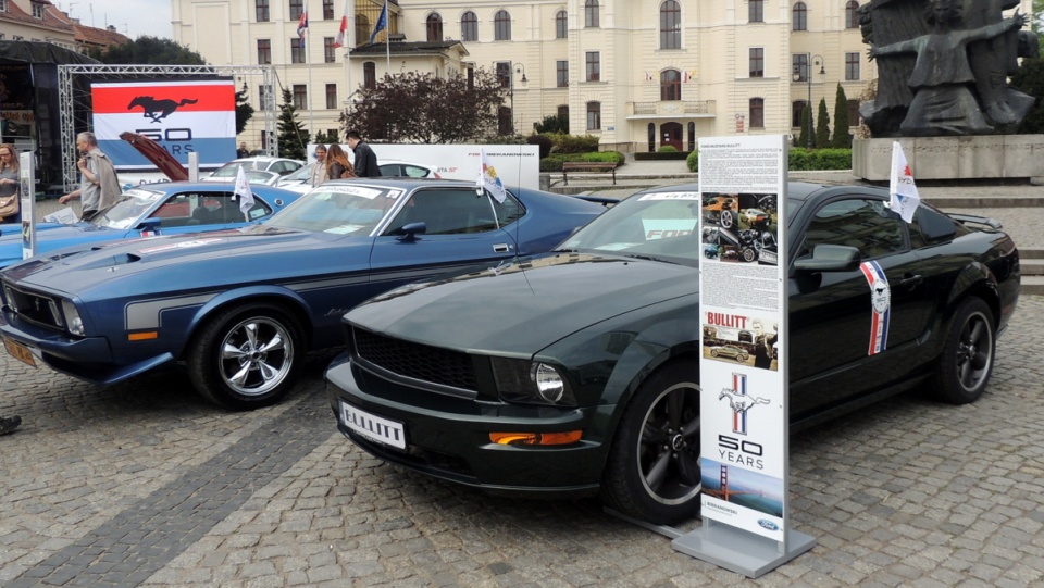 Około 100 Fordów Mustangów przyjechało do Bydgoszczy na szósty ogólnopolski zlot tych samochodów. Fot. Maciej Wilkowski