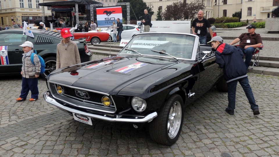 Około 100 Fordów Mustangów przyjechało do Bydgoszczy na szósty ogólnopolski zlot tych samochodów. Fot. Maciej Wilkowski