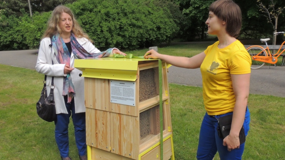 Pszczele hotele stawiane są w większych miastach wojewódzkich przez działaczy "Greenpeace". Fot. Kamila Zroślak